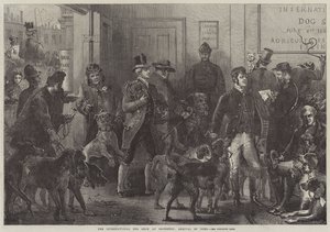 La mostra internazionale dei cani a Islington, arrivo dei cani
